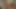 Roge Ferro porn video – hardcore - 17692