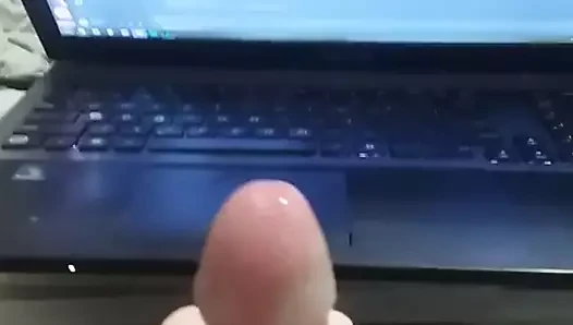 Büyük dağınık döl