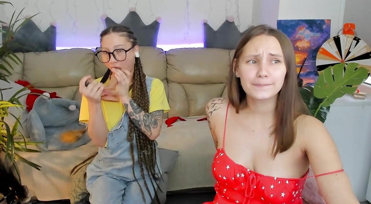 2 hoeren hadden een sollicitatiegesprek tijdens een videogesprek en begonnen zich uit te kleden om het door te geven