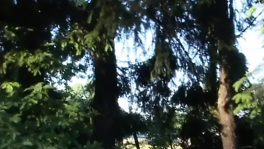 Anal luxury (kompletter porno-film)