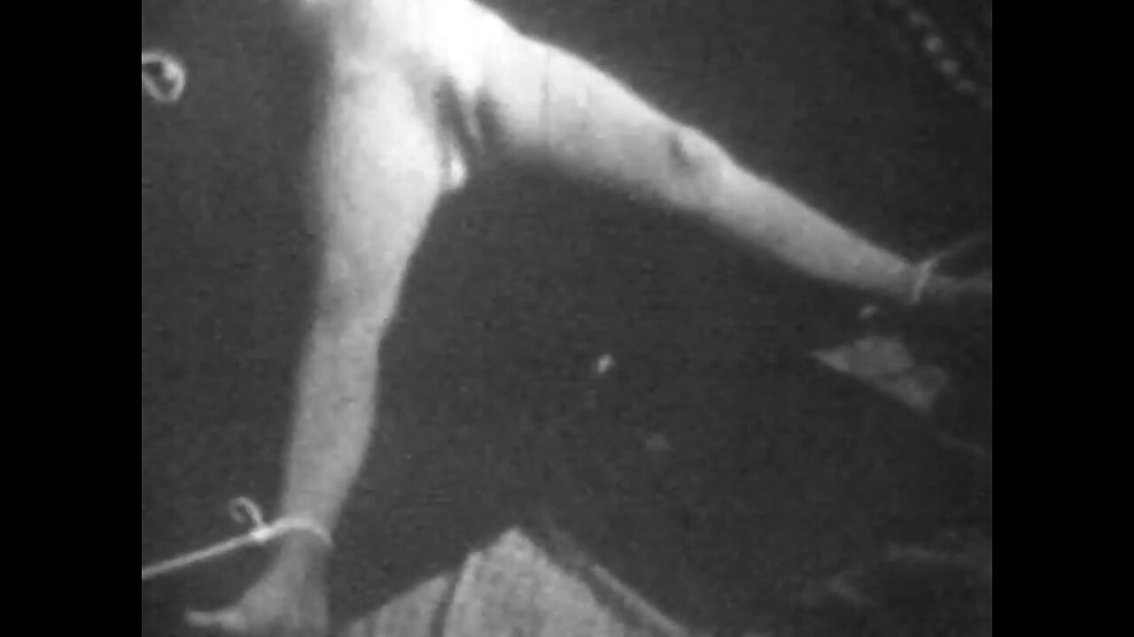 嫌なレスヴィックの欲望