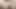 Kürk kaplı honeypot ve sıkı rektumlu Asyalı bomba senin tarafından döllenmek için hazır!