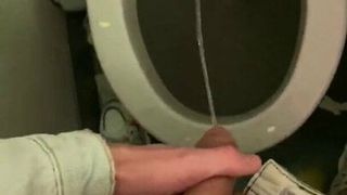 Wichs und pinkle in die Toilette im Flugzeug