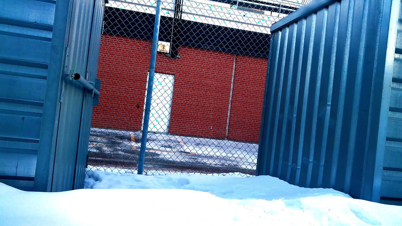 Frozen Meat