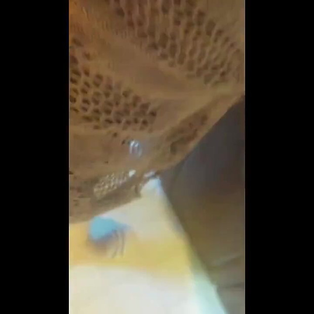 Anal While Cooking Dinner