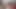 Big Black Hairy Cock Worship Hallelujah Johnson ( BBC Porn BBC Porn BBC Porn Cum ) it'll Feel Good To Subscribe To My Faphouse