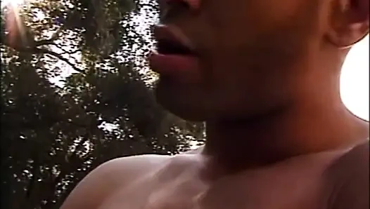 The Harlot Is Very Provocative