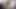 الملاك الآسيوي 26105
