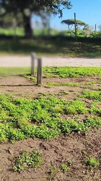 Key moment from "FLASHING my COCK in front a everyone in a PUBLIC PARK and my STEPDAUGHER HELPS me CUMSHOT - REAL SEX RISKY"