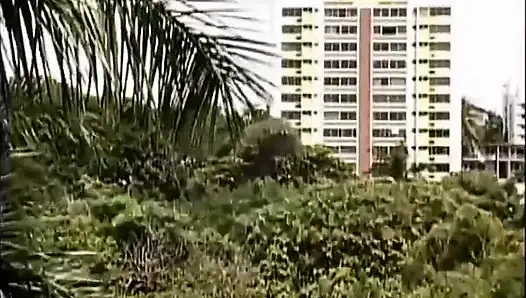 Haarige muschi lecken, ficken in dogging-position ... in den mund kommen