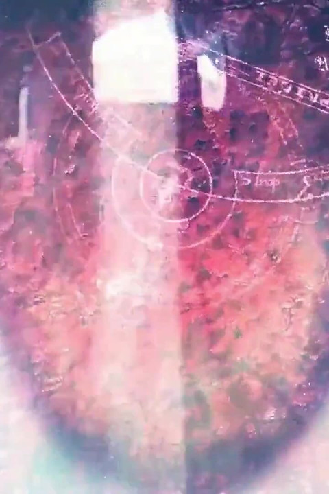 Sacrifice
