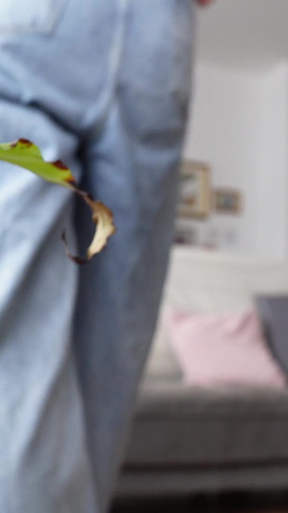 The Giantess Exterminators