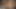 DADDY4K. Let her show tits to your daddy