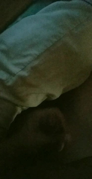 Mouth fucked by bbc