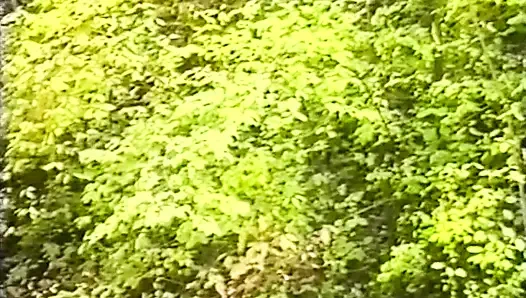 Dalam kehangatan perapian dapatkan blowjob yang bagus