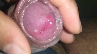 Uncut indian penis with loads of precum getting hard 007