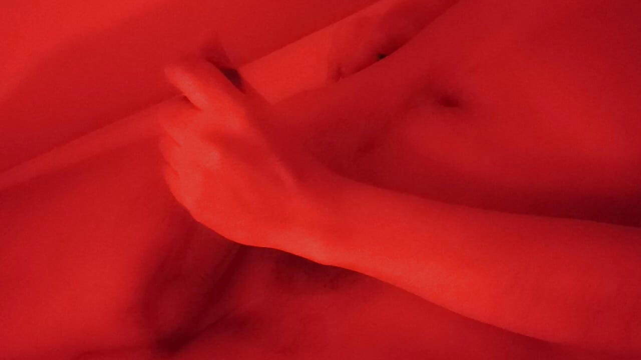 يوم حليبي دافئ 1295