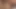 Yeni İtalyan anal kraliçe Victoria Velena Rocco'nun evinde Leo Casanova ve Lorenzo Viota tarafından çifte sikiliyor!