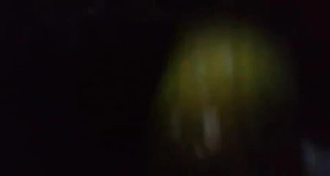 Big pussy