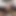 113 - 1 Babe Fucks for Creampie