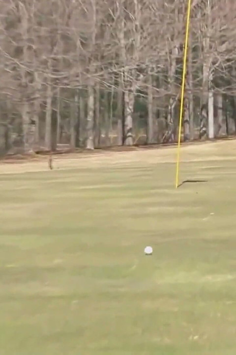 Cute Asian teen girls play a game of strip golf