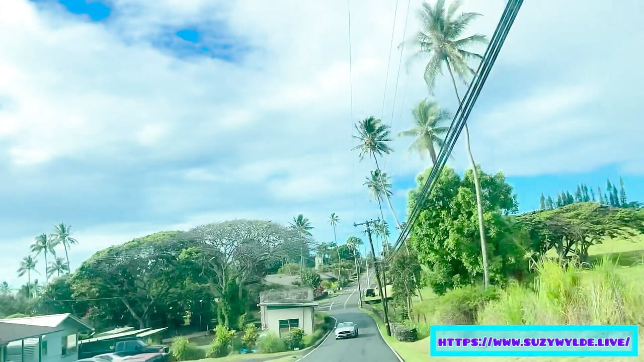 Sfw Road Trip la Hana pentru Suzy Wylde în Waimoku Falls, Maui