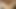 ゲイプセッション：セクシーレナタの贈り物