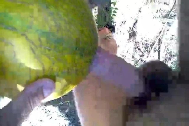 Fuck a Melon IV