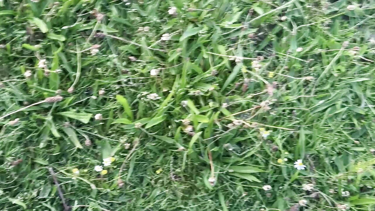 Found a abandoned boat at the lake so I decided to play on it
