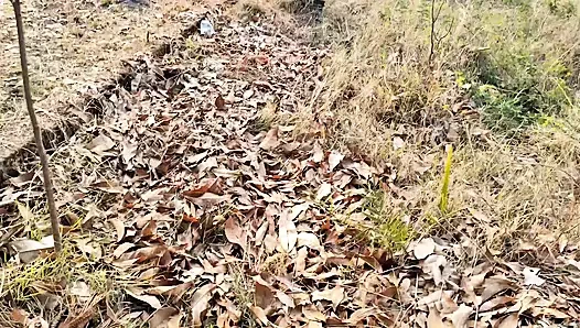 Моего отвезли в парк и трахнули, моя очень хорошая, это было очень весело.