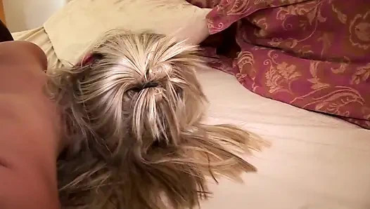 Cowok berotot ngentot memek cewek nakal rambut pirang dan rambut cokelat sampai dicrot di dalam!