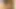 Golden Fun