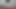 renkli hint