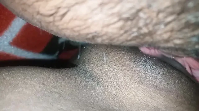 Penis sucking
