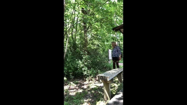 Another Walk in the Park
