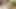 POV Becerdin Binicilik Ve Büyük Beyaz Bir Horoz Ile Oral Seks