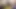 Watch it before it's deleted. He recorded a homemade video of himself fucking the evangelical pastor and it went online: