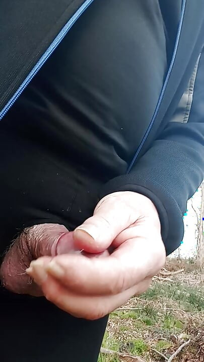 Fat Willi walks in the forest.