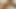 幸運な継息子はMILF継母を説得して中出しさせ、彼女のMILFファンタジーの中に精を吐き出しました