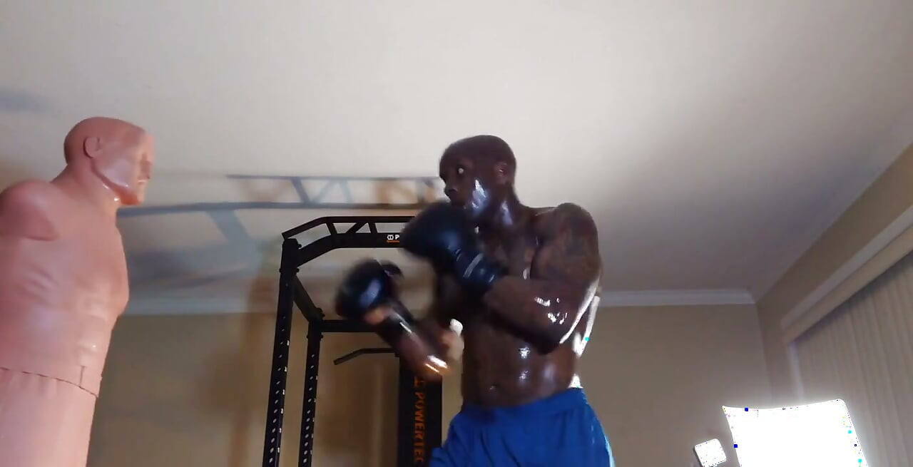 Boxing Workout Integrated Training Combines Flexibility, Cardiorespiratory, Core, Balance, Plyometric
