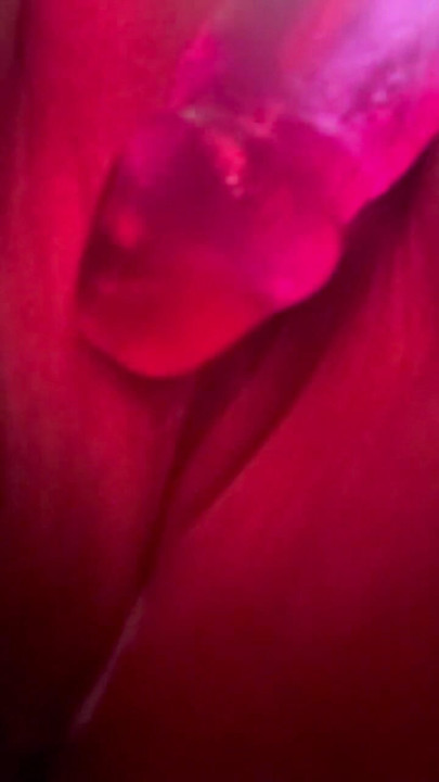 Milking My Pussy