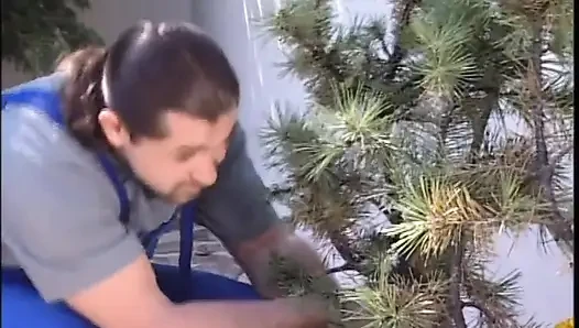 Лизать, трахаю большой хуй, сосу в тройничке в саду