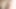 Lesbian seksi kulit hitam saling ngentot dildo