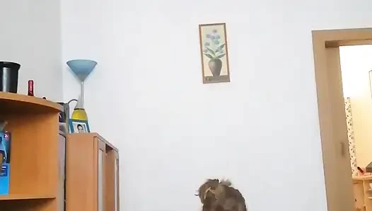 so unsere häusliche ablenkung