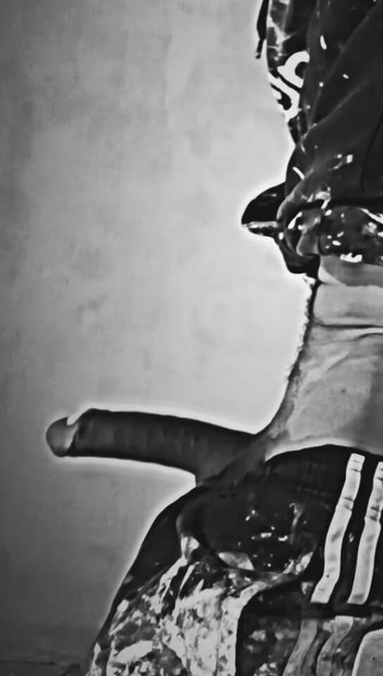 Beccato a masturbarsi grande nero al lavoro