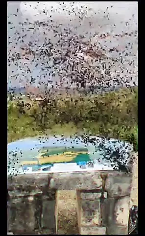 Lylydu47 video