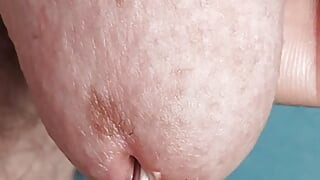 plutati