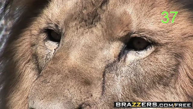 Brazzers - большая нравится тинка - няню застукали в акте