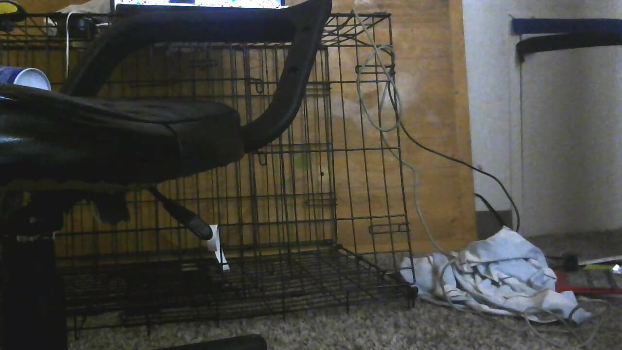 新しいおもちゃ、すごくワクワクしています!!