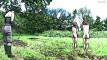 Pratinjau video